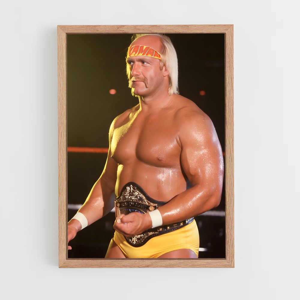 Poster Hulkamania en Action (vue 4)